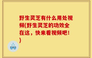 野生灵芝有什么用处视频(野生灵芝的功效全在这，快来看视频吧！)