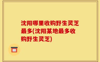 沈阳哪里收购野生灵芝最多(沈阳某地最多收购野生灵芝)