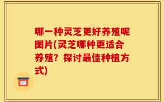 哪一种灵芝更好养殖呢图片(灵芝哪种更适合养殖？探讨最佳种植方式)