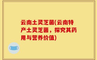 云南土灵芝菌(云南特产土灵芝菌，探究其药用与营养价值)