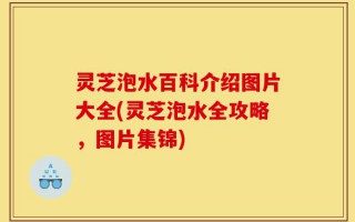 灵芝泡水百科介绍图片大全(灵芝泡水全攻略，图片集锦)