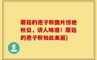蘑菇的孢子粉图片惊艳秋日，诱人味道！蘑菇的孢子粉如此美丽)