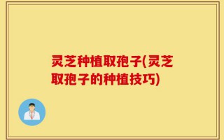 灵芝种植取孢子(灵芝取孢子的种植技巧)
