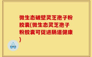 微生态破壁灵芝孢子粉胶囊(微生态灵芝孢子粉胶囊可促进肠道健康)