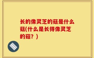 长的像灵芝的菇是什么菇(什么是长得像灵芝的菇？)