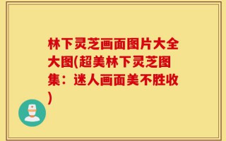 林下灵芝画面图片大全大图(超美林下灵芝图集：迷人画面美不胜收)