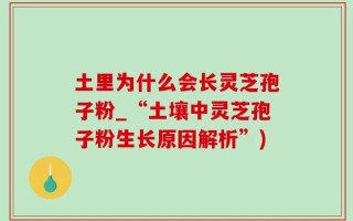 土里为什么会长灵芝孢子粉_“土壤中灵芝孢子粉生长原因解析”)