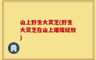 山上野生大灵芝(野生大灵芝在山上璀璨绽放)