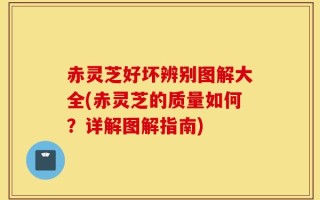 赤灵芝好坏辨别图解大全(赤灵芝的质量如何？详解图解指南)