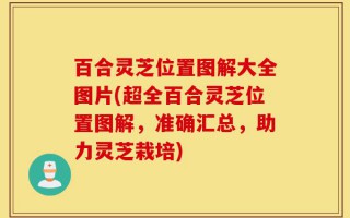 百合灵芝位置图解大全图片(超全百合灵芝位置图解，准确汇总，助力灵芝栽培)