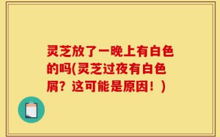 灵芝放了一晚上有白色的吗(灵芝过夜有白色屑？这可能是原因！)