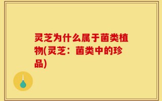 灵芝为什么属于菌类植物(灵芝：菌类中的珍品)