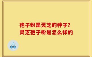 孢子粉是灵芝的种子？灵芝孢子粉是怎么样的