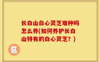 长白山白心灵芝难种吗怎么养(如何养护长白山特有的白心灵芝？)