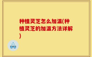 种植灵芝怎么加温(种植灵芝的加温方法详解)