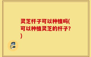 灵芝杆子可以种植吗(可以种植灵芝的杆子？)