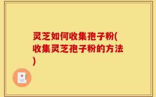 灵芝如何收集孢子粉(收集灵芝孢子粉的方法)