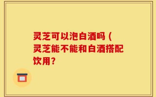 灵芝可以泡白酒吗 (灵芝能不能和白酒搭配饮用？