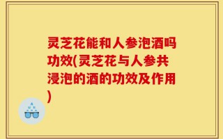 灵芝花能和人参泡酒吗功效(灵芝花与人参共浸泡的酒的功效及作用)