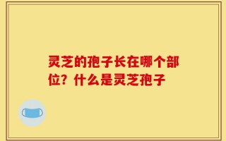 灵芝的孢子长在哪个部位？什么是灵芝孢子