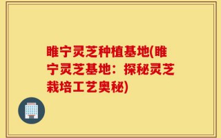 睢宁灵芝种植基地(睢宁灵芝基地：探秘灵芝栽培工艺奥秘)