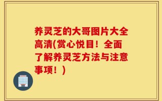 养灵芝的大哥图片大全高清(赏心悦目！全面了解养灵芝方法与注意事项！)