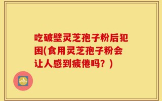 吃破壁灵芝孢子粉后犯困(食用灵芝孢子粉会让人感到疲倦吗？)