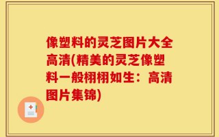 像塑料的灵芝图片大全高清(精美的灵芝像塑料一般栩栩如生：高清图片集锦)