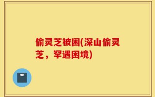 偷灵芝被困(深山偷灵芝，罕遇困境)