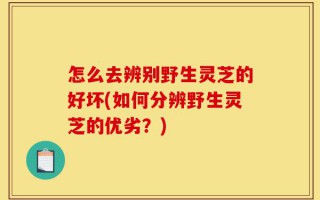 怎么去辨别野生灵芝的好坏(如何分辨野生灵芝的优劣？)