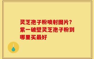 灵芝孢子粉喷射图片？紫一破壁灵芝孢子粉到哪里买最好