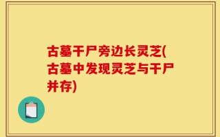 古墓干尸旁边长灵芝(古墓中发现灵芝与干尸并存)