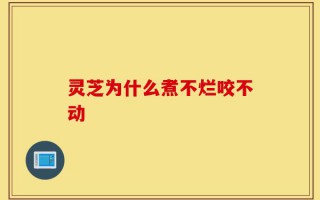 灵芝为什么煮不烂咬不动