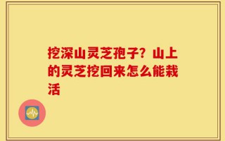 挖深山灵芝孢子？山上的灵芝挖回来怎么能栽活