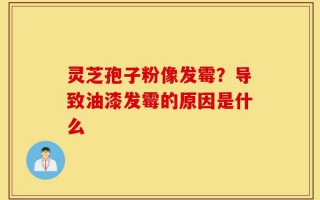灵芝孢子粉像发霉？导致油漆发霉的原因是什么