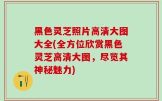 黑色灵芝照片高清大图大全(全方位欣赏黑色灵芝高清大图，尽览其神秘魅力)