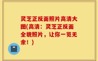 灵芝正反面照片高清大图(高清：灵芝正反面全貌照片，让你一览无余！)