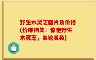 野生木灵芝图片及价格(价廉物美！惊艳野生木灵芝，美轮美奂)