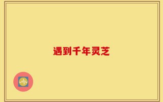 遇到千年灵芝
