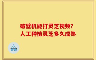 破壁机能打灵芝视频？人工种植灵芝多久成熟