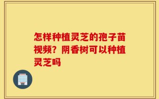 怎样种植灵芝的孢子苗视频？阴香树可以种植灵芝吗