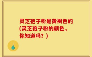 灵芝孢子粉是黄褐色的(灵芝孢子粉的颜色，你知道吗？)