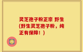 灵芝孢子粉正宗 野生(野生灵芝孢子粉，纯正有保障！)