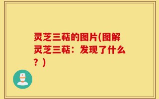 灵芝三萜的图片(图解灵芝三萜：发现了什么？)
