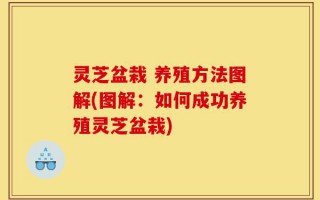 灵芝盆栽 养殖方法图解(图解：如何成功养殖灵芝盆栽)