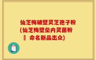 仙芝梅破壁灵芝孢子粉(仙芝梅壁垒内灵菌粉 – 命名新品出众)