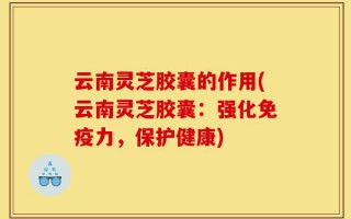 云南灵芝胶囊的作用(云南灵芝胶囊：强化免疫力，保护健康)