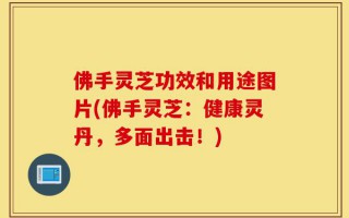 佛手灵芝功效和用途图片(佛手灵芝：健康灵丹，多面出击！)