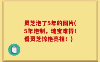 灵芝泡了5年的图片(5年泡制，瑰宝难得！看灵芝惊艳亮相！)