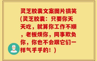 灵芝胶囊文案图片搞笑(灵芝胶囊：只要你天天吃，就算你工作不顺，老板烦你，同事欺负你，你也不会跟它们一样气乎乎的！)